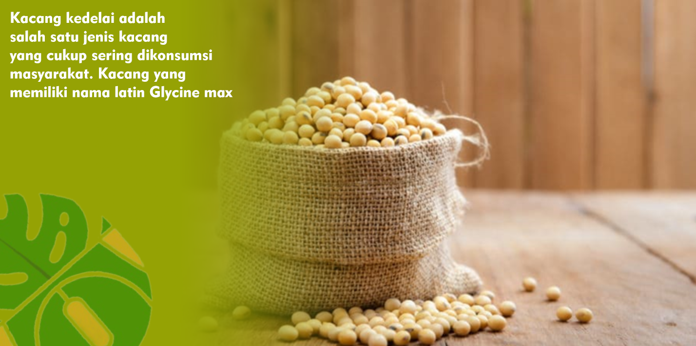 Khasiat Kacang Kedelai yang Tak Kalah Sehat dari Gandum